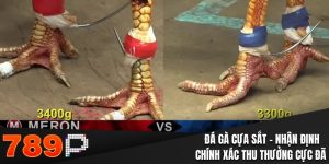 da ga cua sat