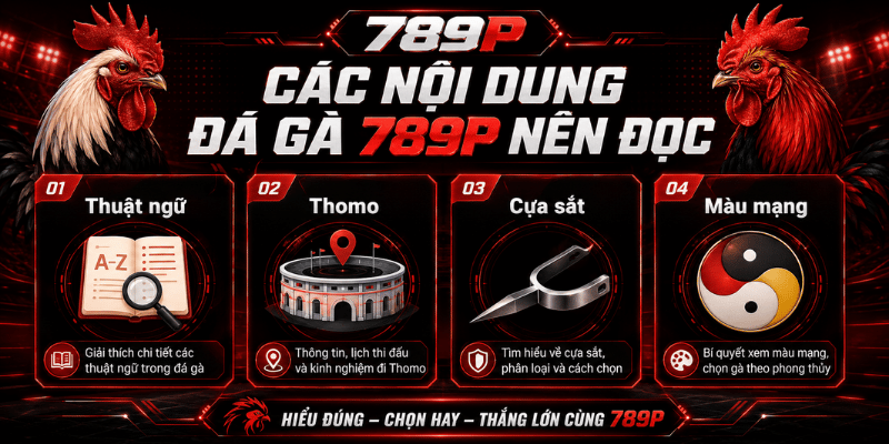 Các nội dung đá gà 789P nên đọc